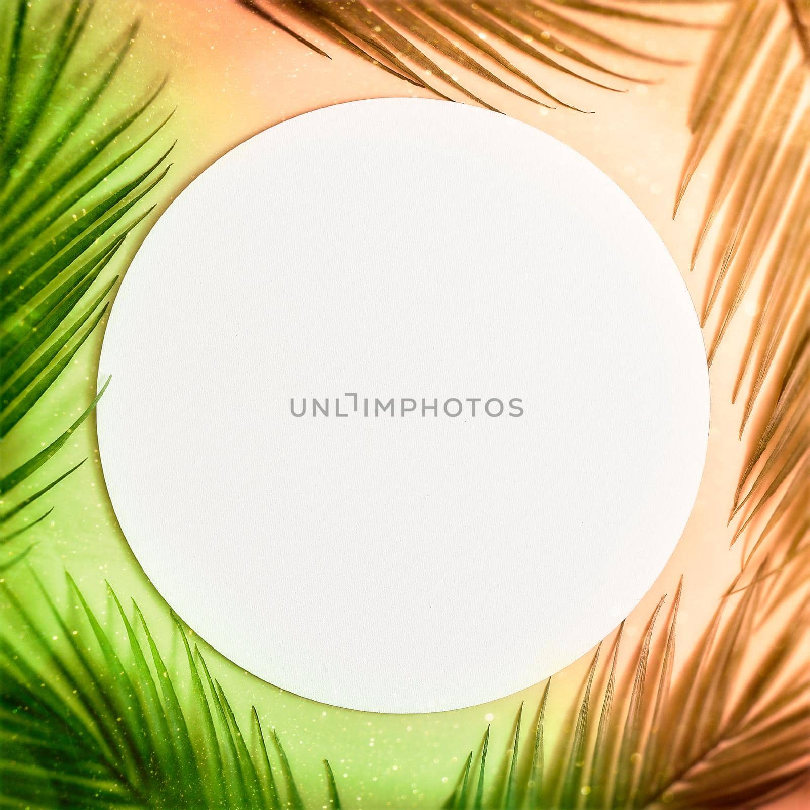 Minimal summer concept with palm tree leaf. Creative copyspace with paper frame. Creative layout made of colorful tropical leaves on white background.