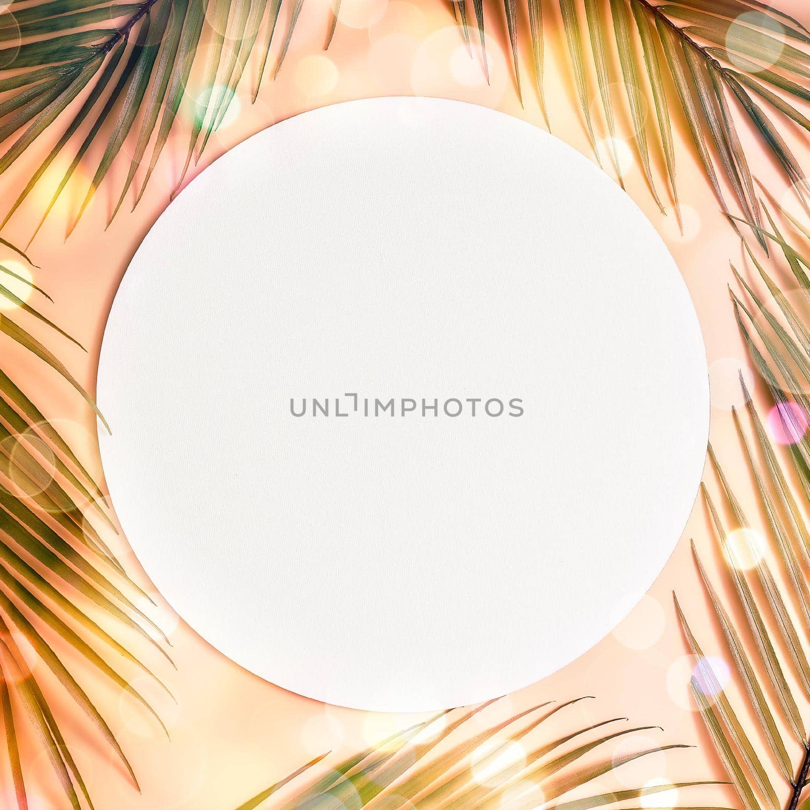 Flat lay. Minimal summer concept with palm tree leaf. Creative copyspace with paper frame. Creative layout made of colorful tropical leaves on white background. by Maximusnd