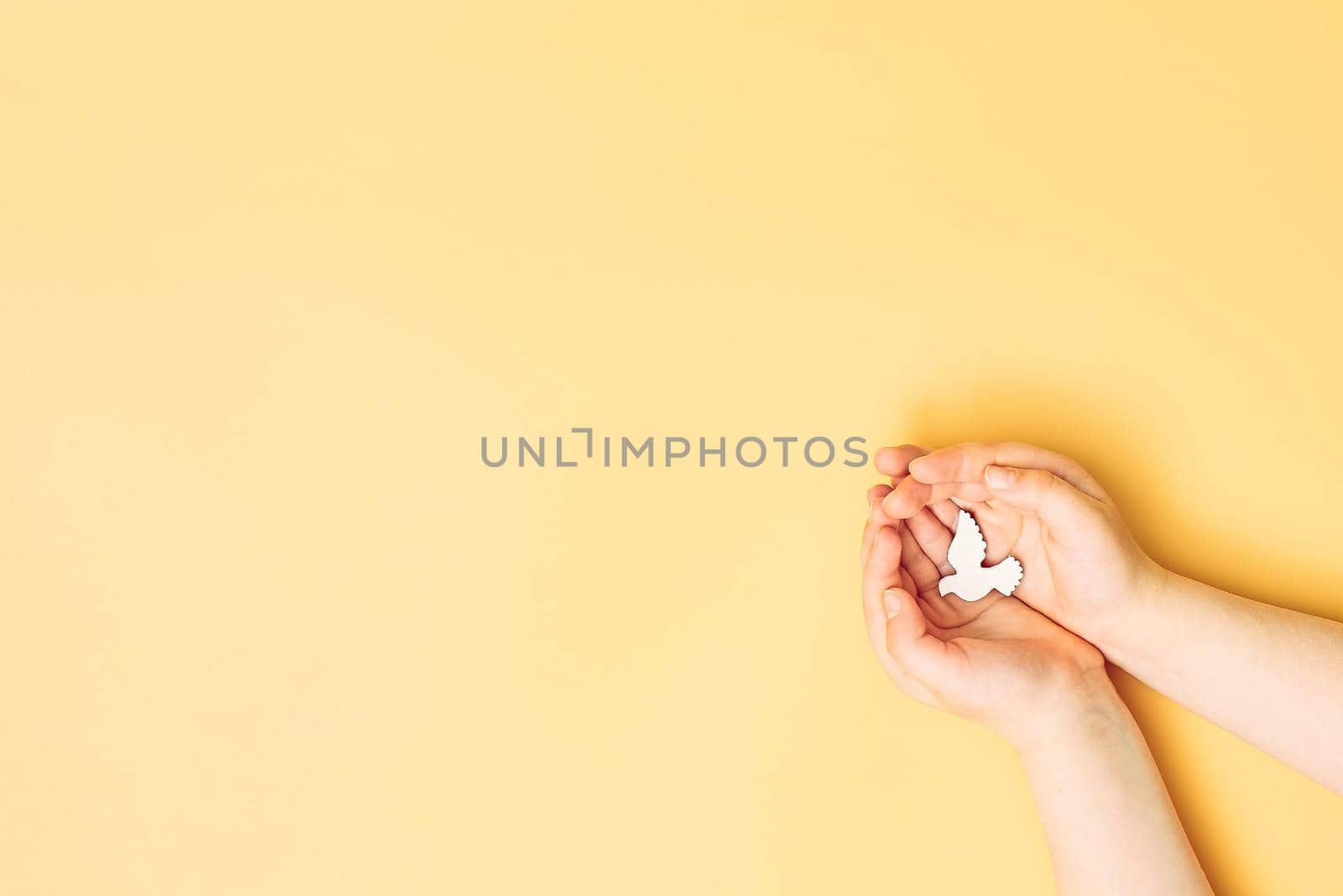 Сhild hands holding white dove bird on yellow background, international day of peace or world peace day concept.