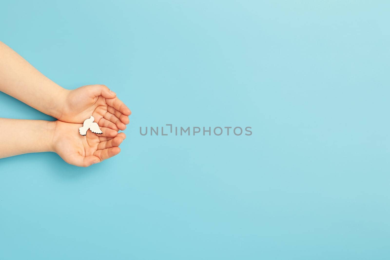 Сhild hands holding white dove bird on blue background, international day of peace or world peace day concept.