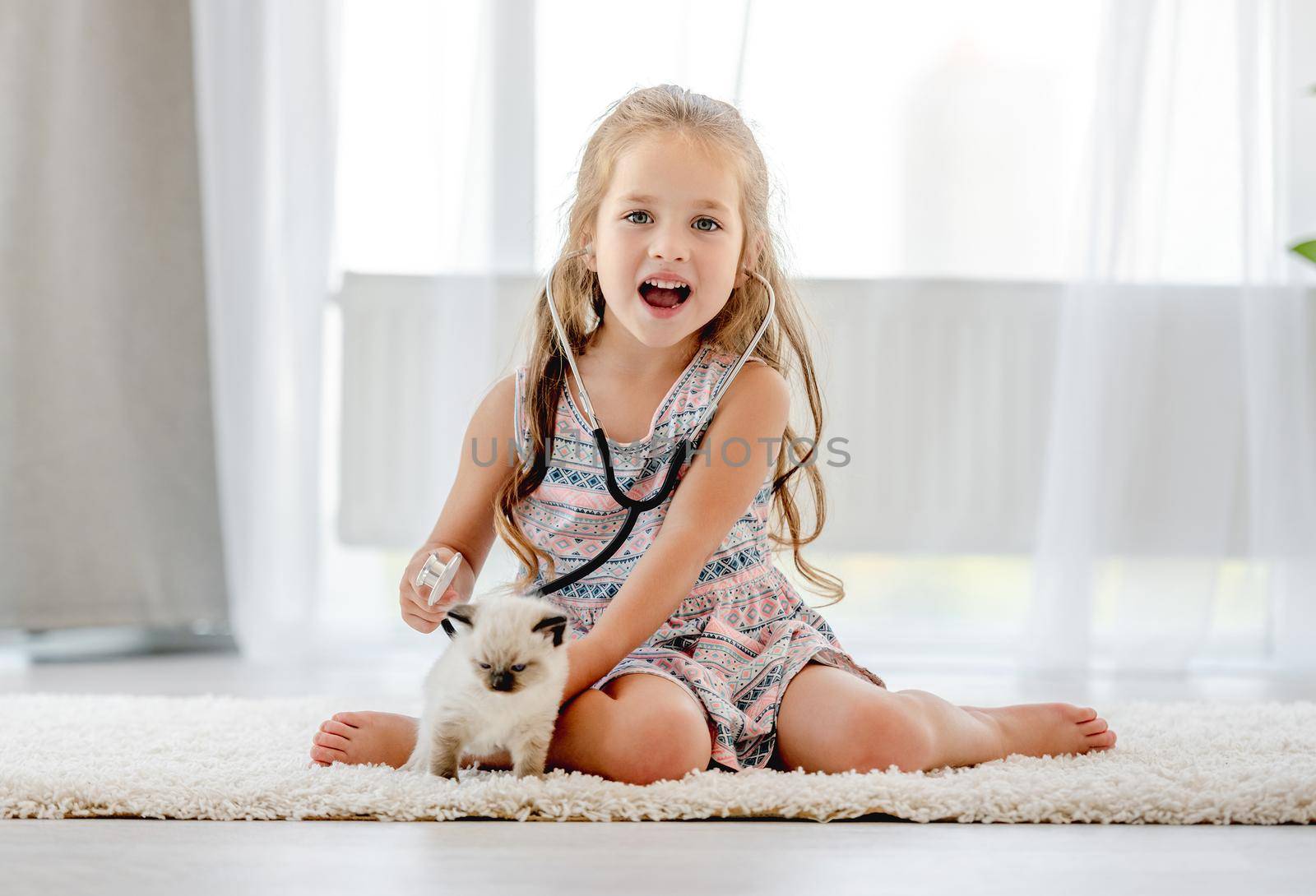 Little child girl playing veterinarian with ragdoll kitten indoors. Pretty female kid hearing heart of feline domestic kitty pet at home