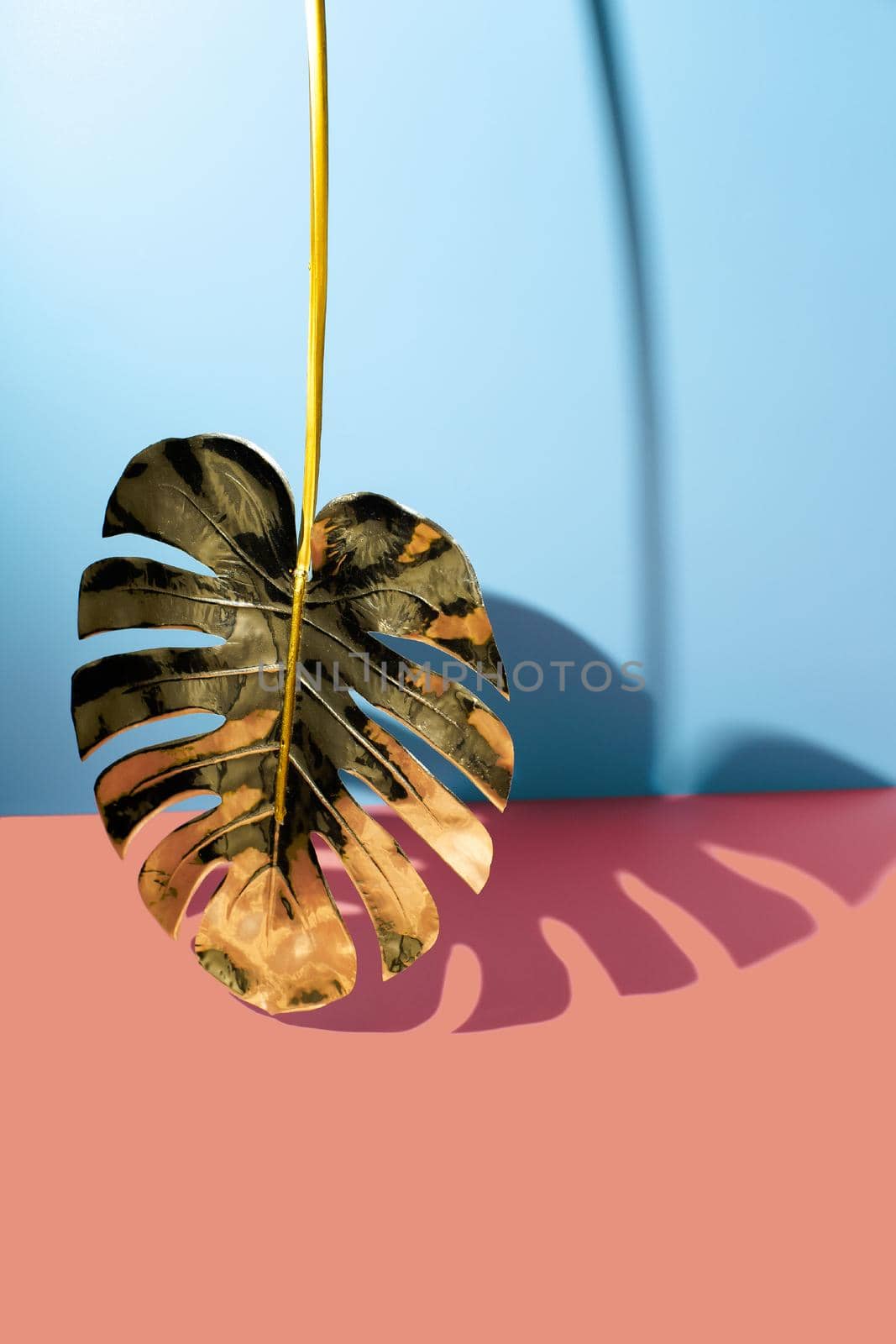 Creative layout made of colorful and gold tropical leave blue and pink background. Minimal summer exotic concept with copy space. by Maximusnd