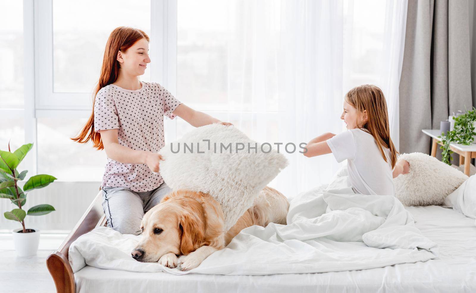 Sisters in the bed with golden retriever dog by tan4ikk1