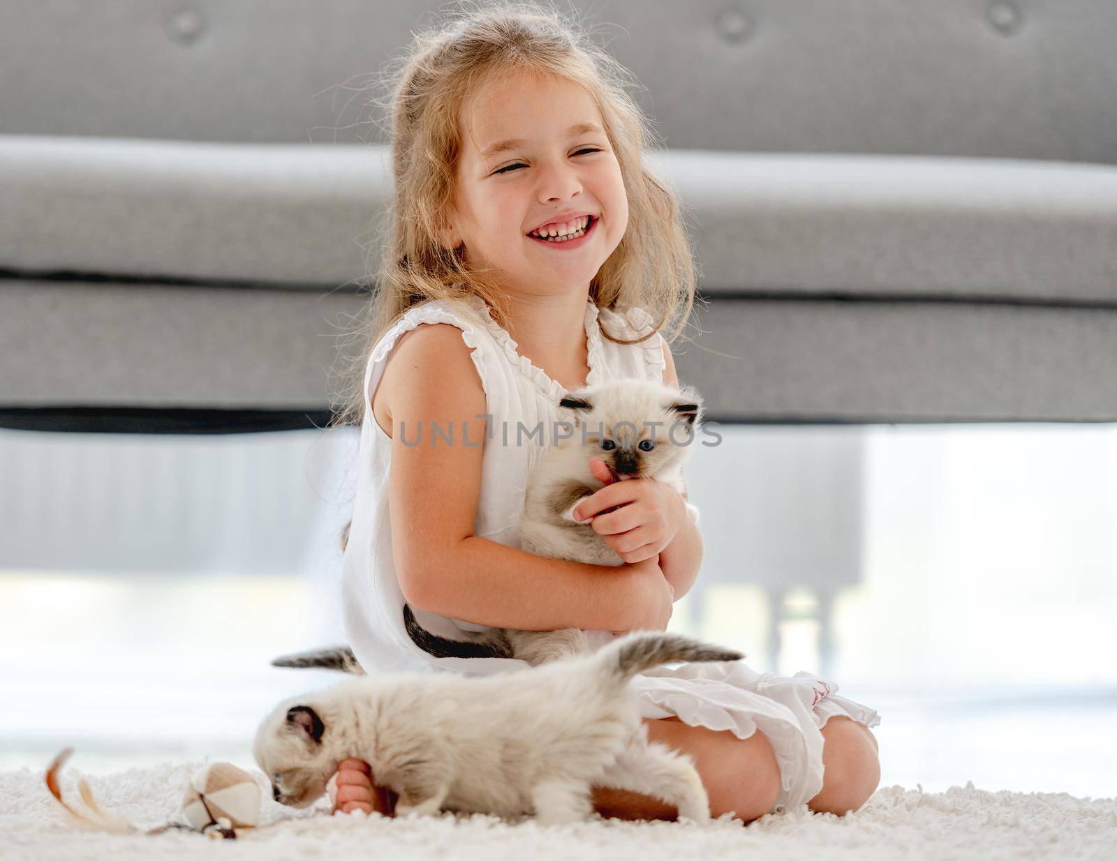 Child girl painting with ragdoll kittens on the floor and smiling. Little female person drawing with colorful pencils and kitty pets close to her at home