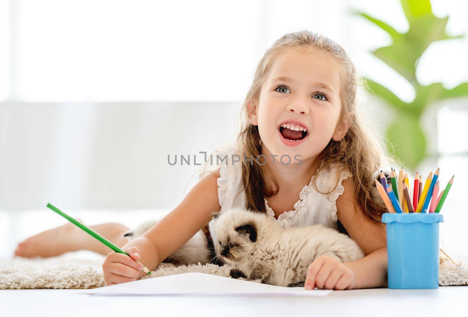 Girl painting with ragdoll kittens by tan4ikk1