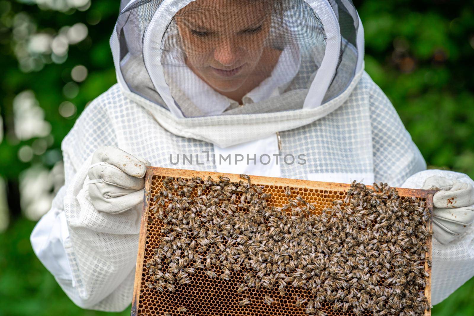 Beekeeper inspects bees in a protective suit by Edophoto