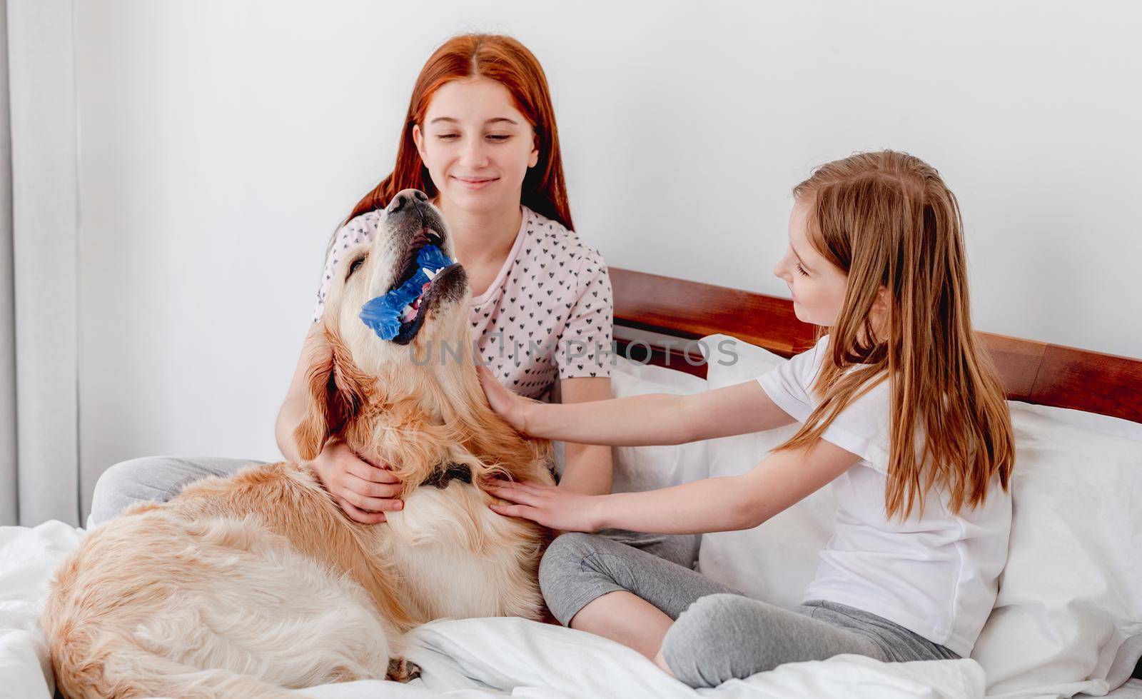 Girls with golden retriever dog in the bed by tan4ikk1