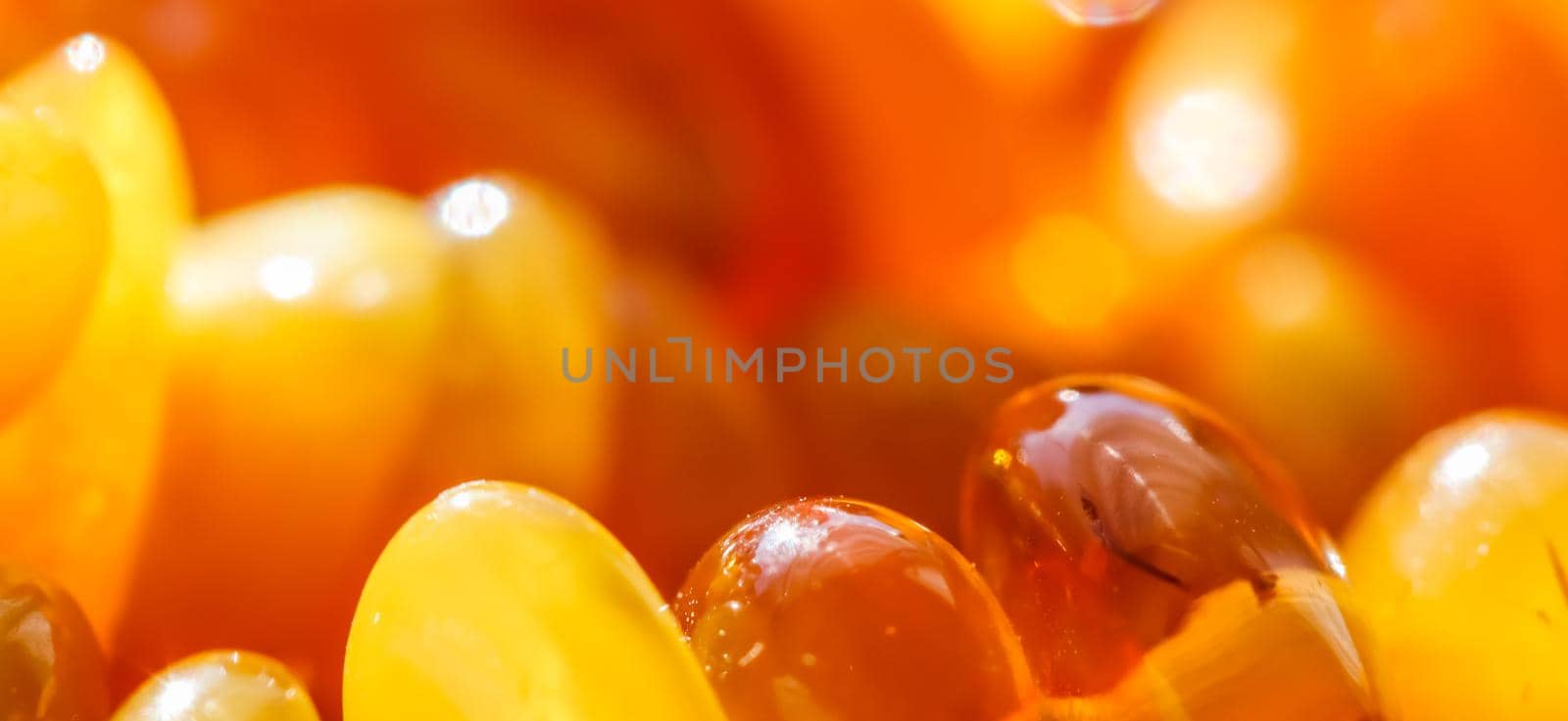 Sunny beads of fire amber. Natural gemstone background, jewelry concept by Olayola