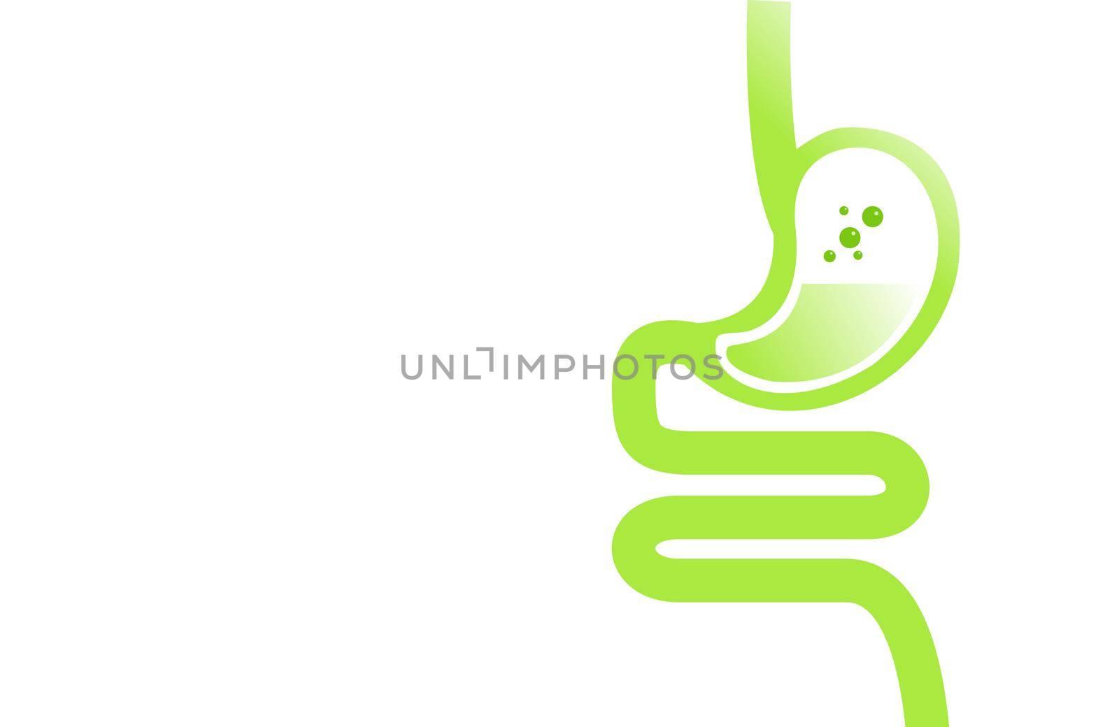 Gastrointestinal tract. Intestines, guts, stomach. Digestive tract.stomach icon. illustration.