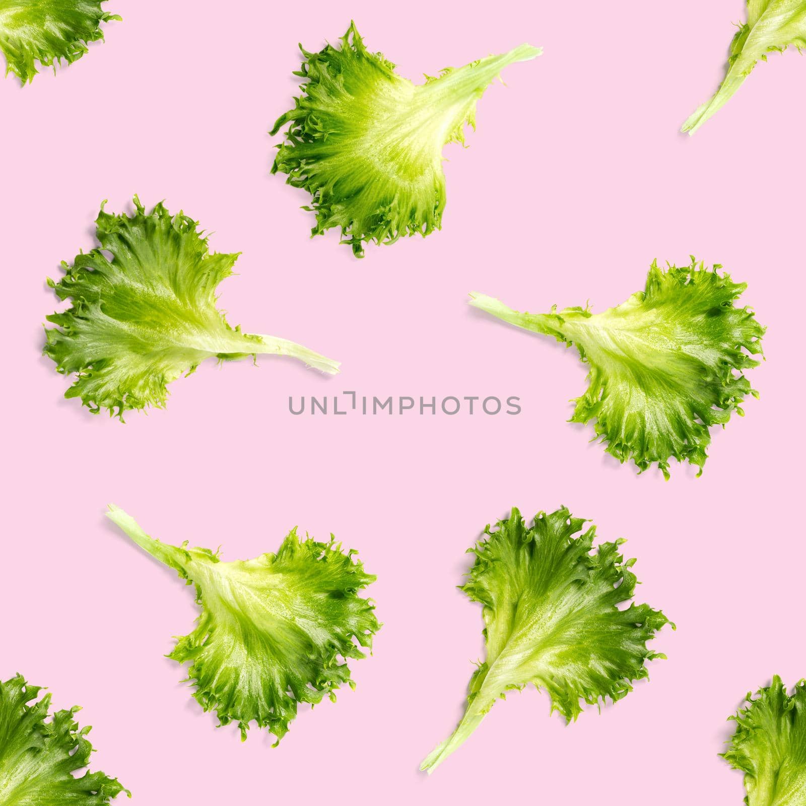 seamless pattern from lettuce green leaves salad. frillice salad isolated on pink. iceberg salad leaf flat lay by PhotoTime