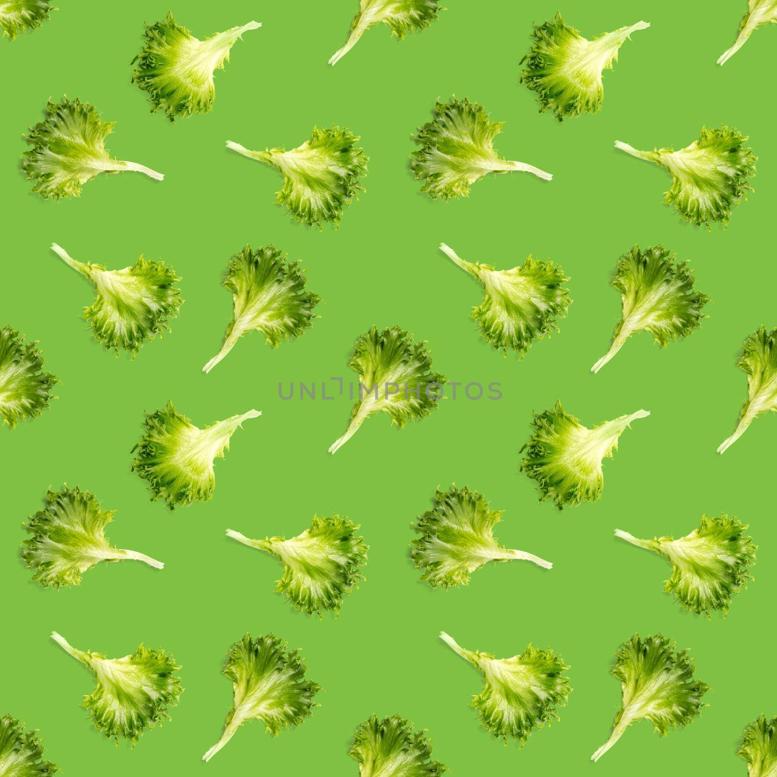 seamless pattern from lettuce green leaves salad. frillice salad isolated on green. iceberg salad leaf close up, modern background, flat lay. lettuce green leaf pattern