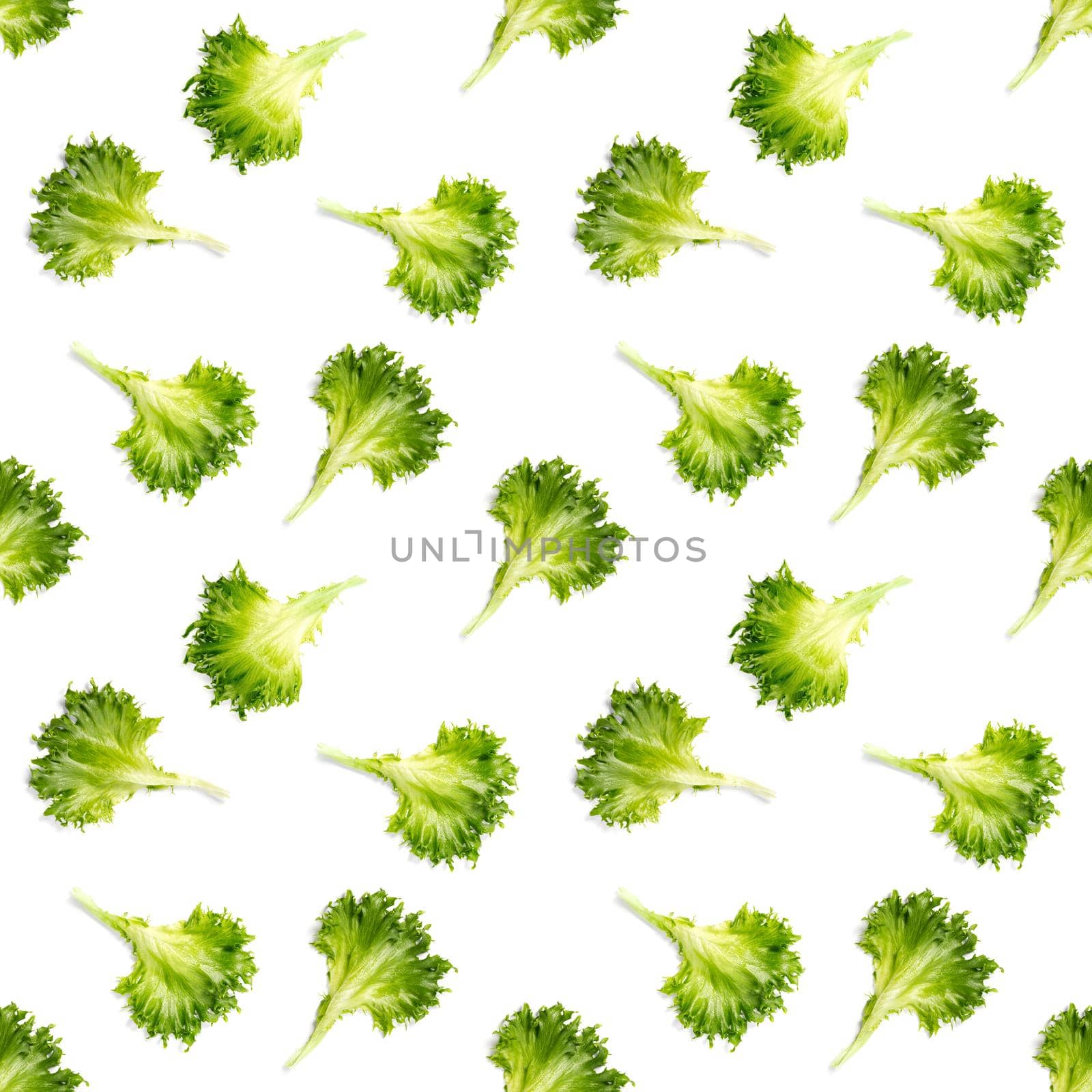 seamless pattern from lettuce green leaves salad. frillice salad isolated on white. iceberg salad leaf close up, modern background, flat lay. lettuce green leaf pattern