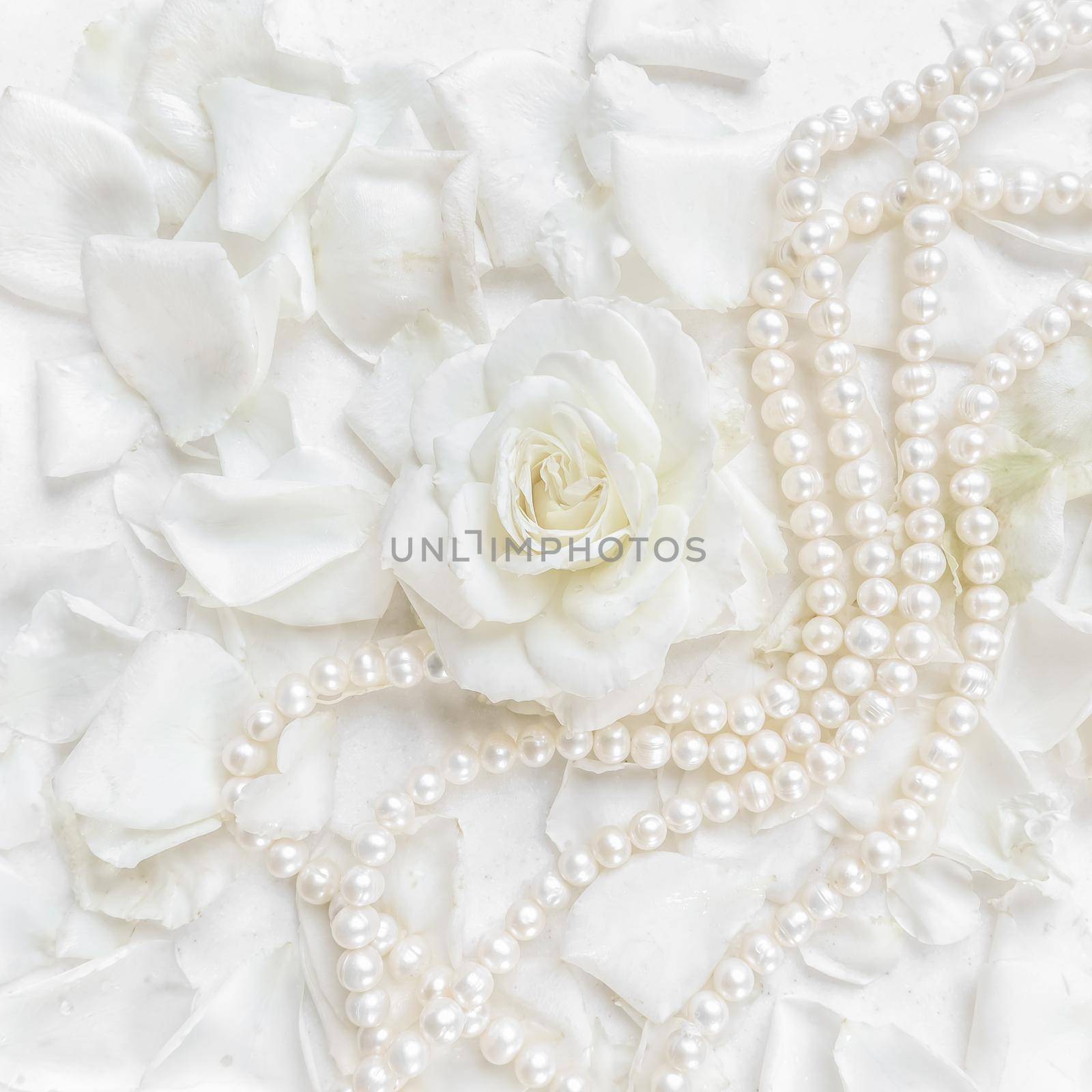 Beautiful white rose and pearl necklace on a background of petals. Ideal for greeting cards for wedding, birthday, Valentine's Day, Mother's Day by Olayola