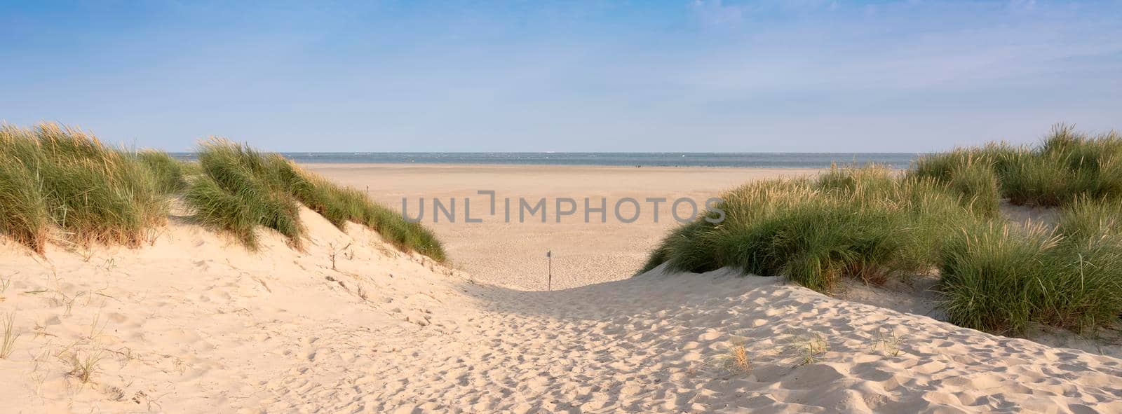 dunes and beach on dutch island of texel on sunny day with blue sky by ahavelaar