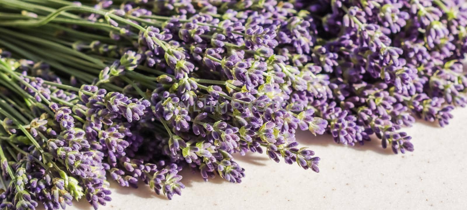 Lavender flowers on a gray rustic background of an old stump