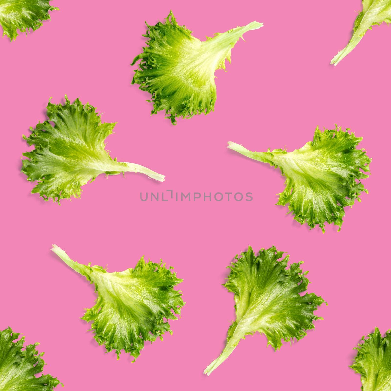 seamless pattern from lettuce green leaves salad. frillice salad isolated on pink. iceberg salad leaf flat lay by PhotoTime