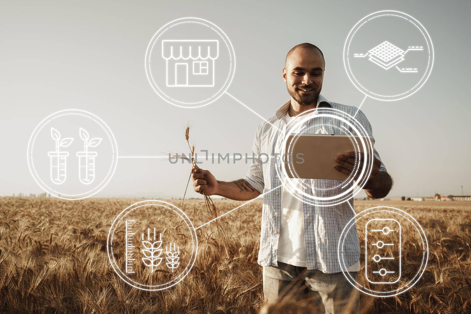 Farmer standing with digital tablet in a wheat field using modern technologies in agriculture, close up