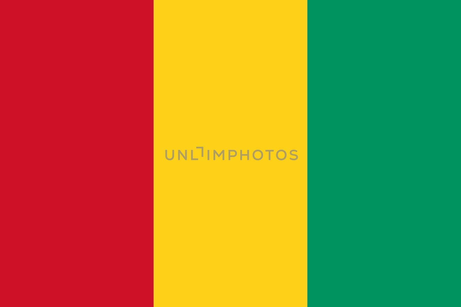 Guinea National Flag by Bigalbaloo