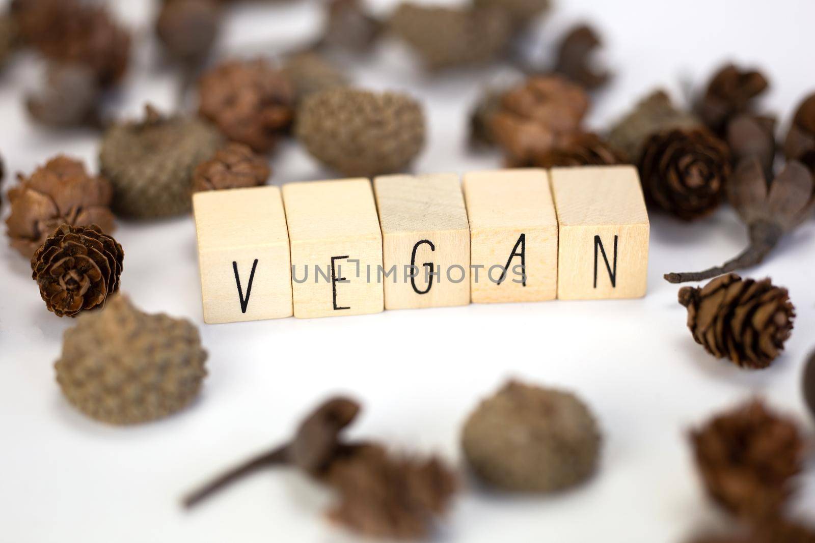 Vegan and hashtag written with wooden cubes and nature decoration isolated on white background with copy space, vegan,vegetarian,health concept background modern design natural style close up