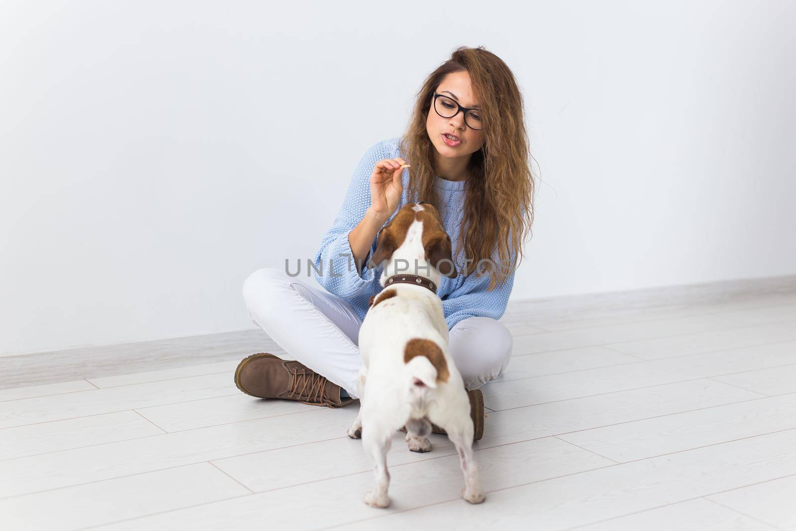 Pets owner - Attractive cheerful female in blue sweater playing with her favourite pet. Happy woman with her jack russell terrier