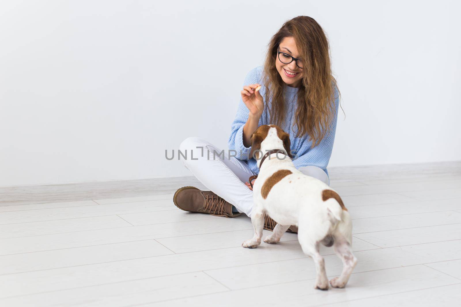 Pets owner concept - Attractive cheerful female in blue sweater playing with her favourite pet. Happy woman with her jack russell terrier by Satura86