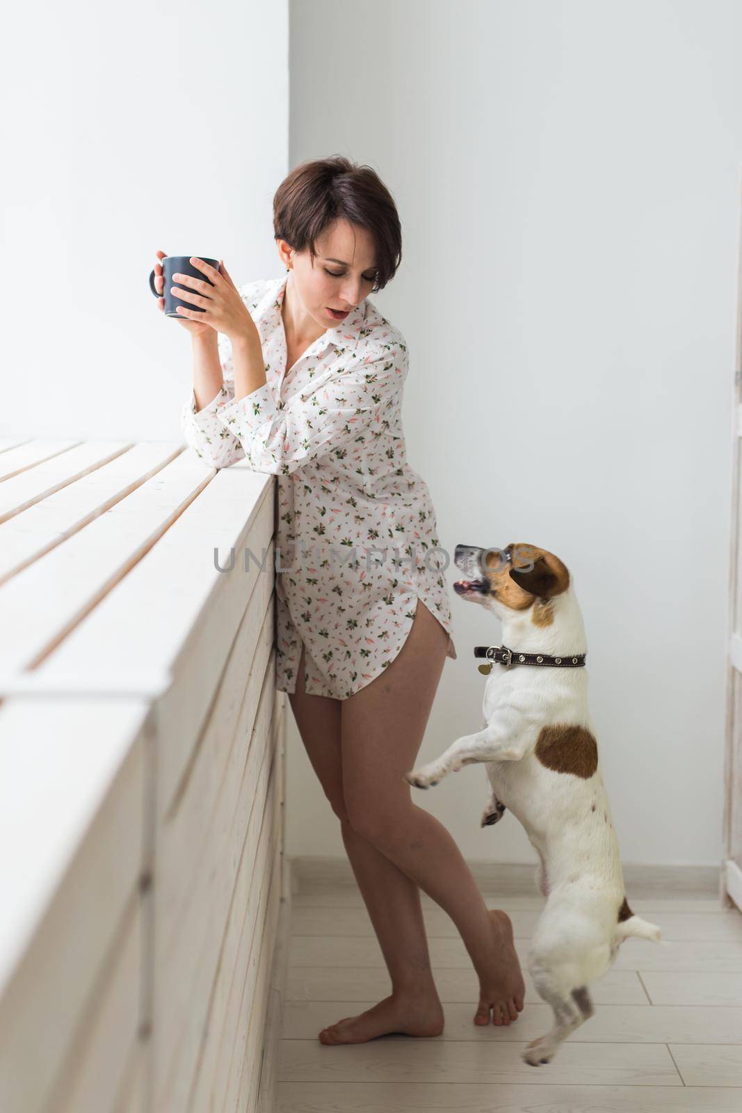 Woman wearing cozy home shirt relaxing at home and playing with dog jack Russell terrier, drinking tea. Morning concept. by Satura86