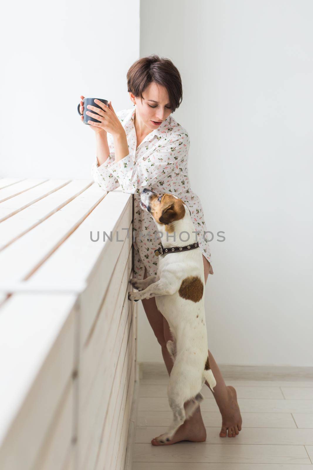 Woman wearing cozy home shirt relaxing at home and playing with dog jack Russell terrier, drinking tea. Morning concept. by Satura86