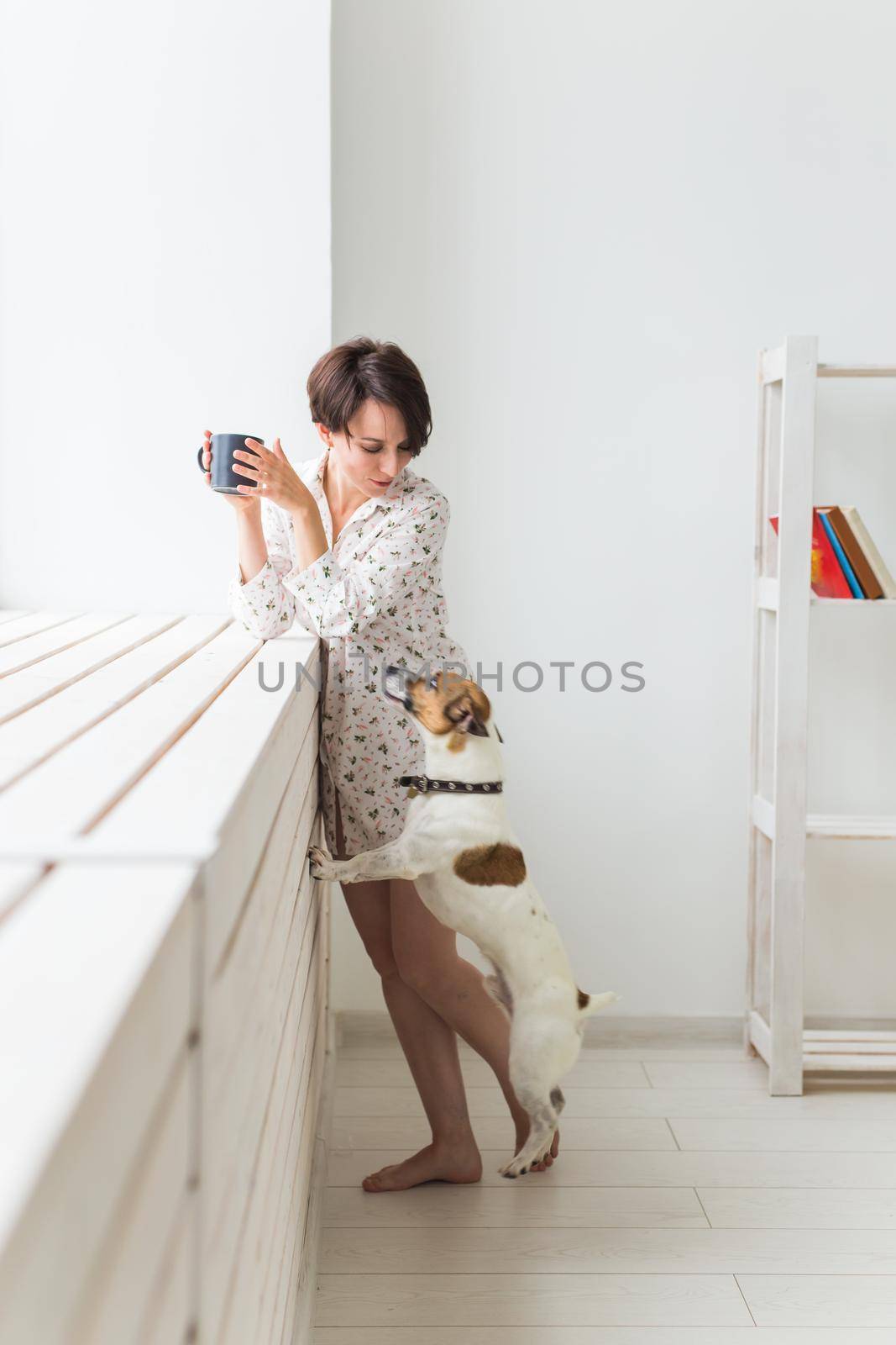 Woman wearing cozy home shirt relaxing at home and playing with dog jack Russell terrier, drinking tea. Morning concept. by Satura86