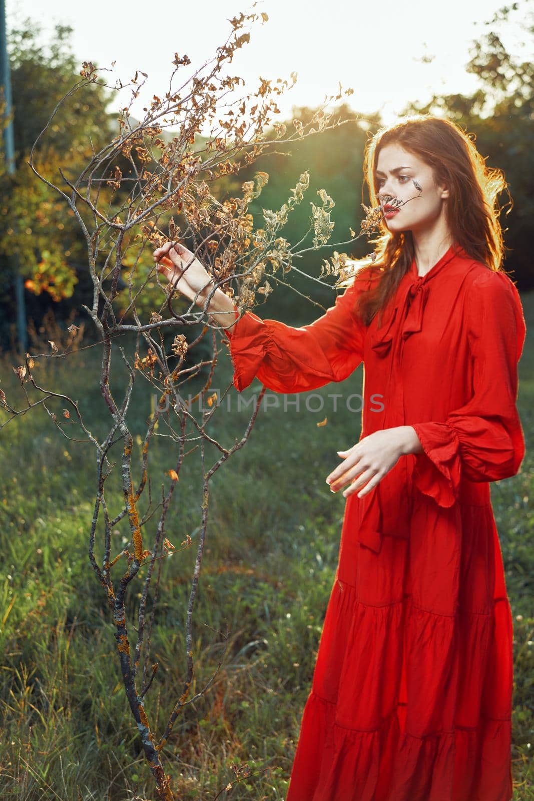 woman in red dress in field near tree posing summer. High quality photo