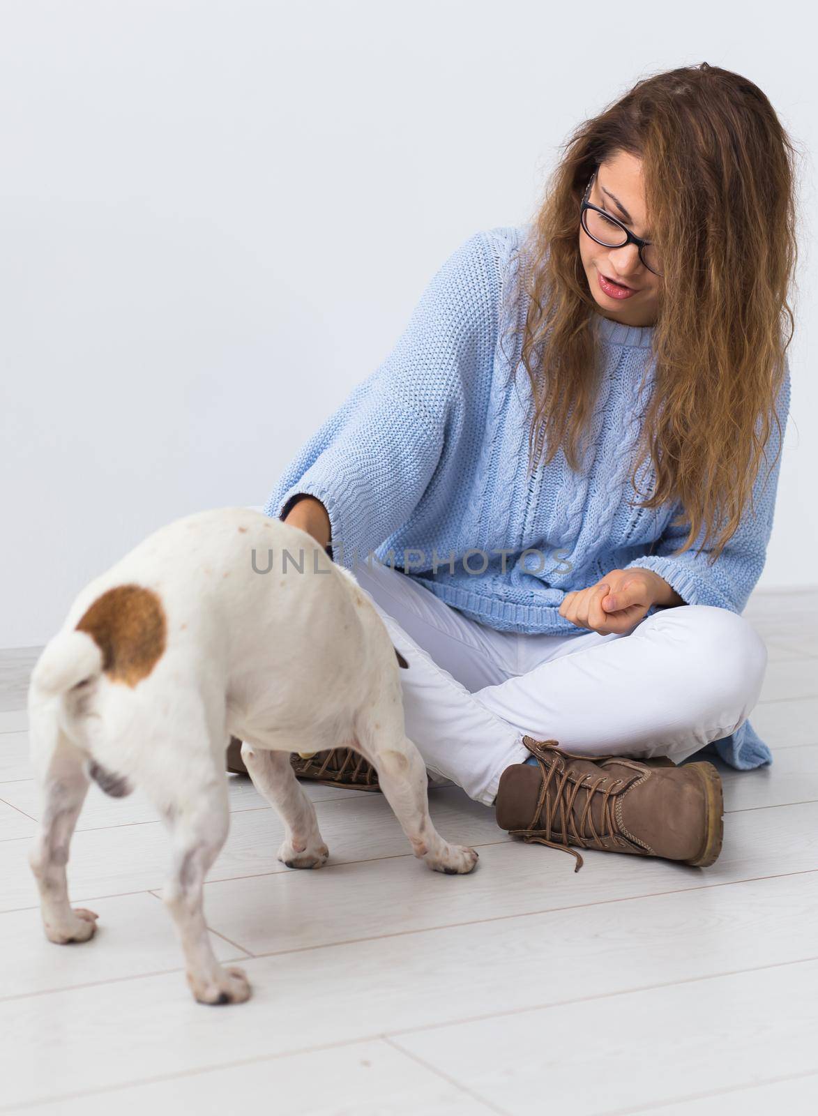 Pets owner - Attractive cheerful female in blue sweater playing with her favourite pet. Happy woman with her jack russell terrier