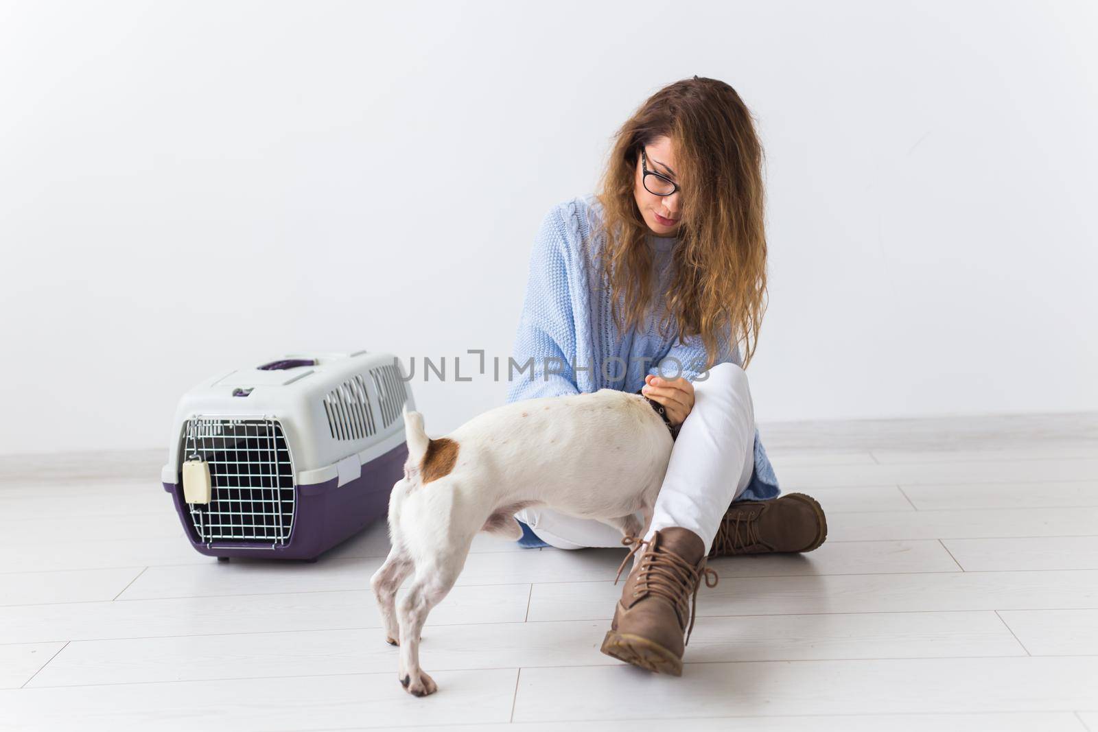 pets owner concept - Attractive cheerful female in blue sweater playing with her favourite pet. Happy woman with her jack russell terrier