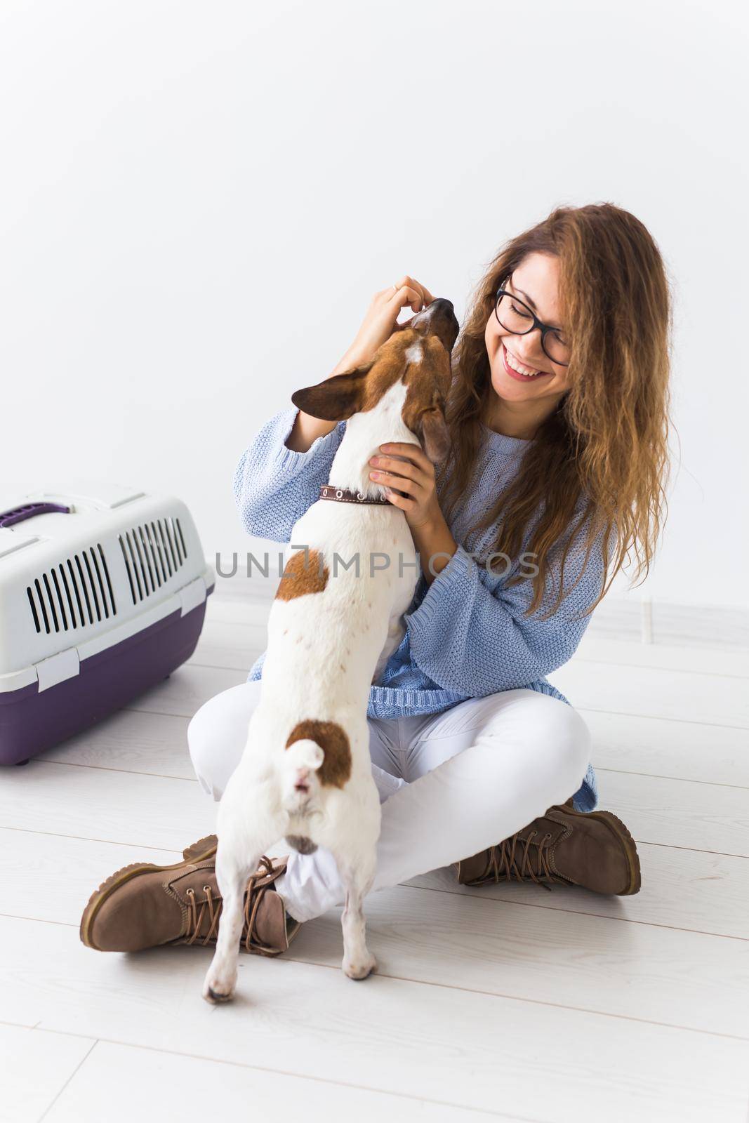 pets owner concept - Attractive cheerful female in blue sweater playing with her favourite pet. Happy woman with her jack russell terrier