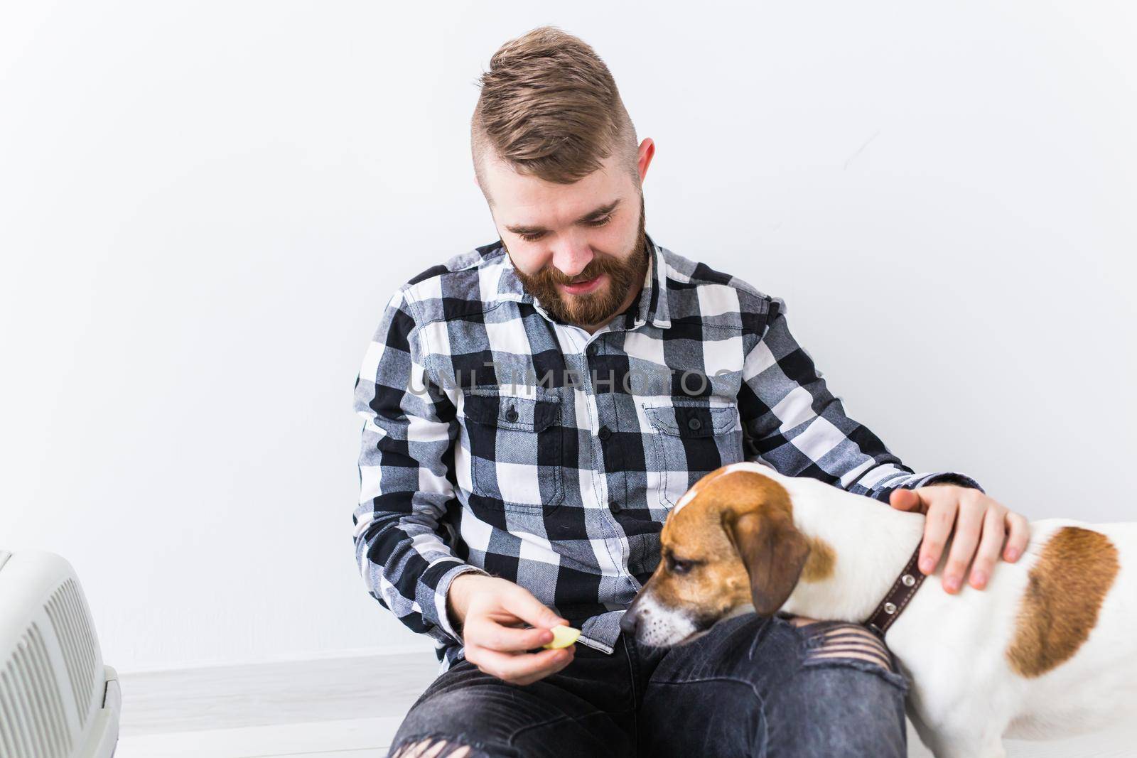 Pets owner concept - Attractive cheerful male in plaid shirt holds favourite pet. Happy bearded man with his jack russell terrier by Satura86