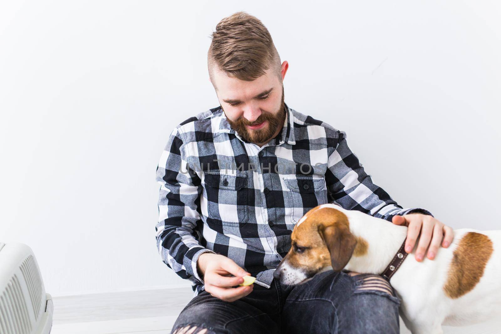 Dog carrying bags and pets owner concept - Attractive cheerful male in plaid shirt holds favourite pet. Happy bearded man with his jack russell terrier.