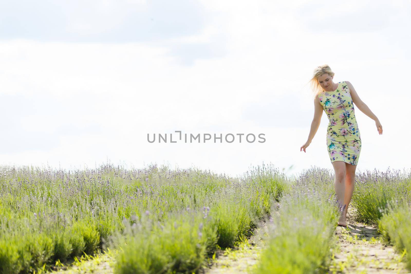 Woman standing on a lavender field