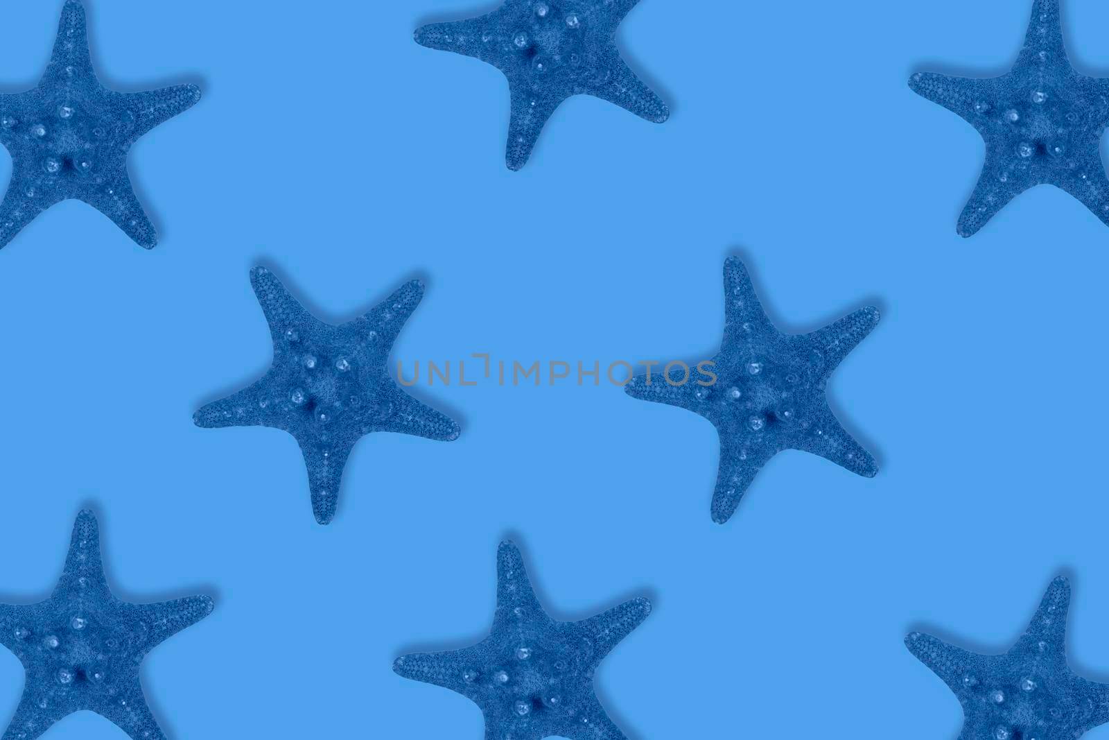 Dried toned in blue sea star fish pattern on blue background close up. Top view, minimal flat lay style. Banner or poster.