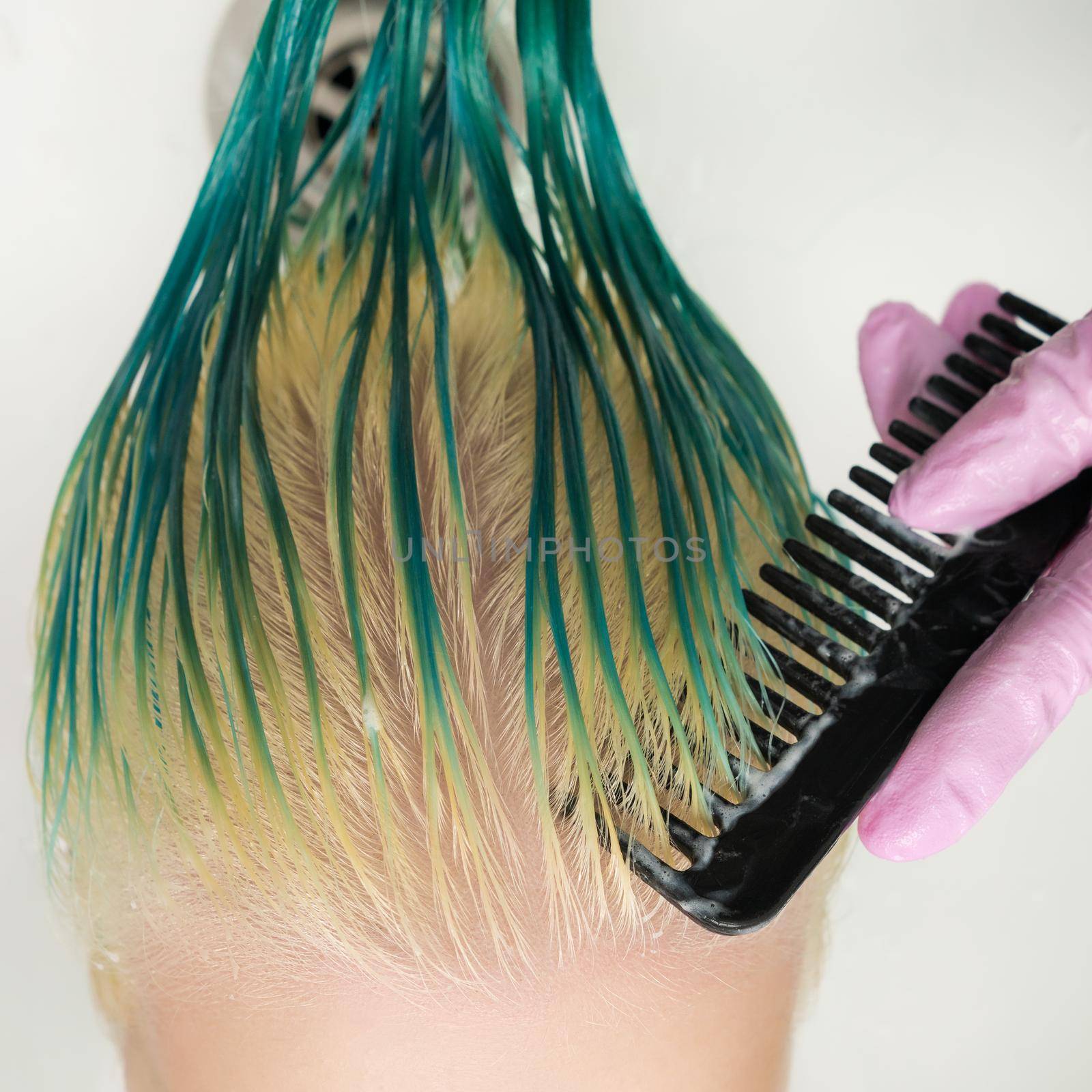 High-angle shot of hairstylist combing wet long green and discolored hair, while shampooing in shower in special white beauty salon sink.