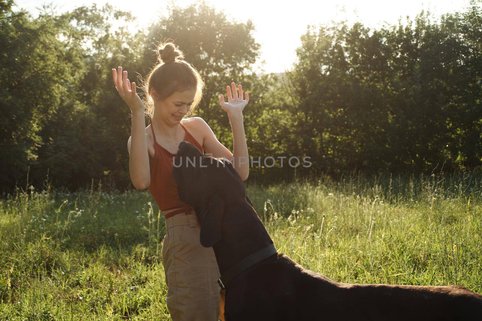 cheerful woman playing with a dog in a field in nature in summer by Vichizh