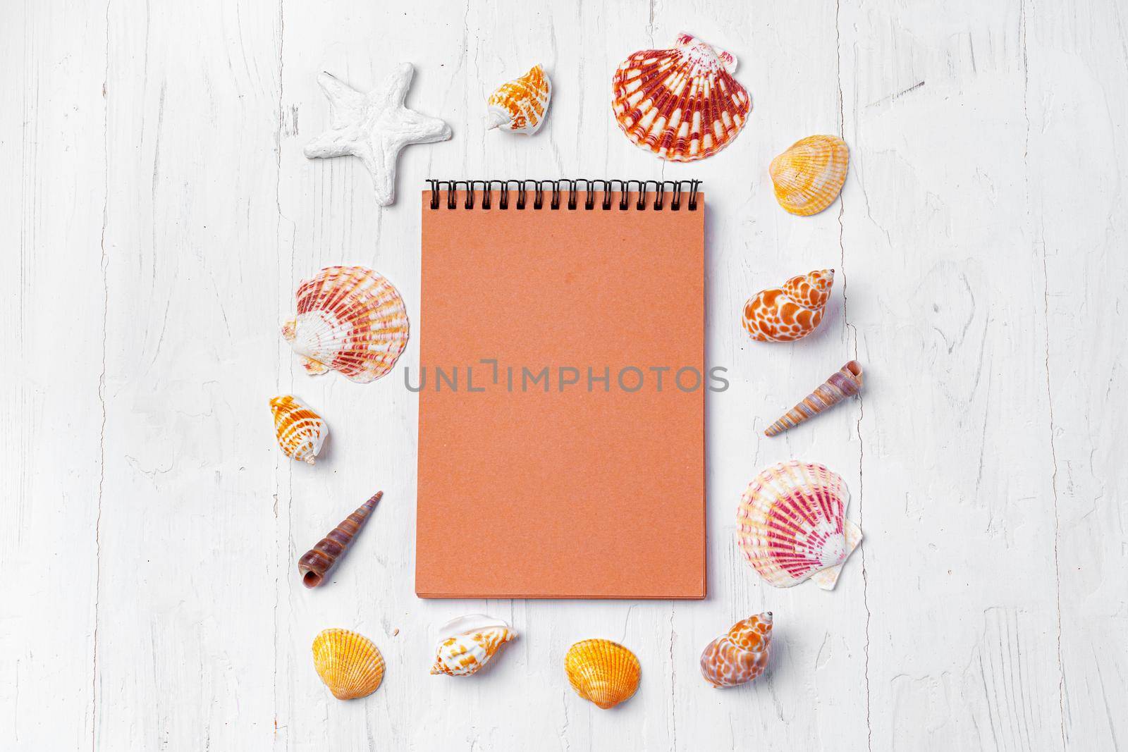 Open notepad with sea shells on white wooden background, top view