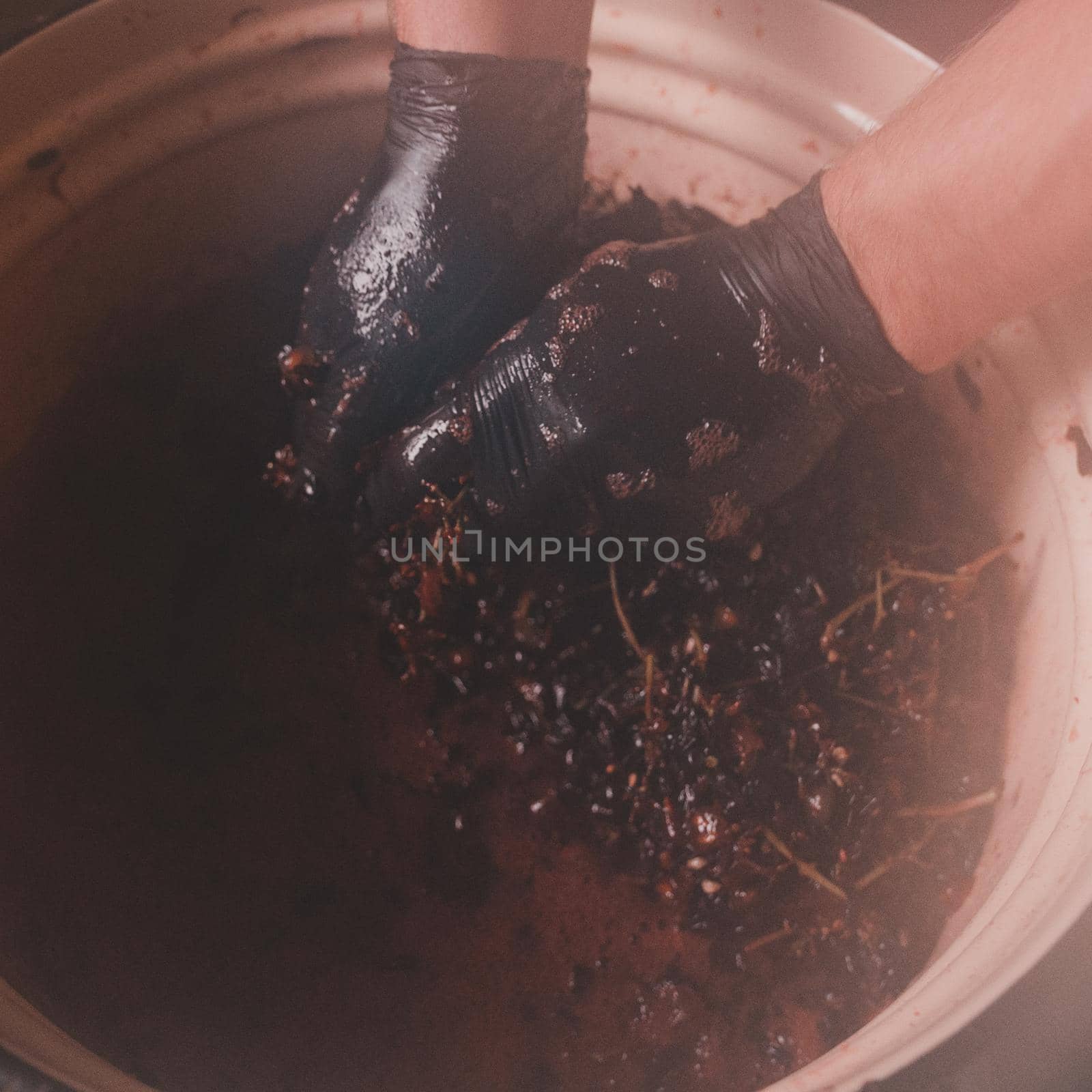 Grape juice squeezed by hand at home, wine production at home, squeezing the juice by hand.