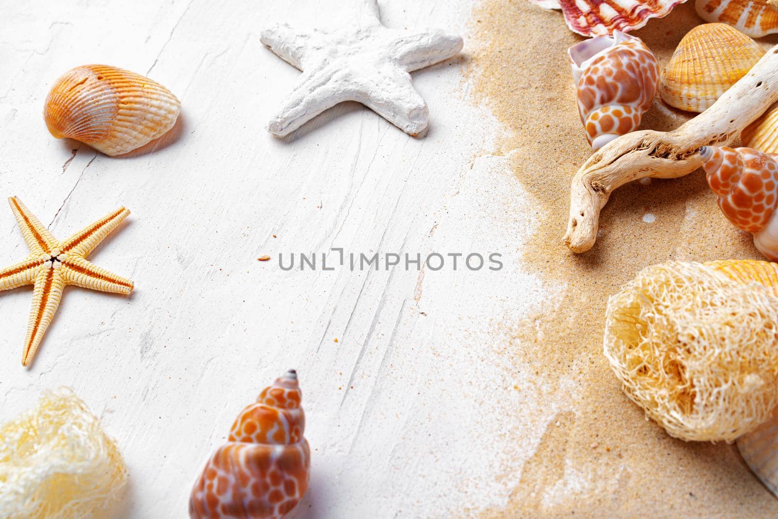 Summer vacation concept with sea shells on white wo9oden planks close up