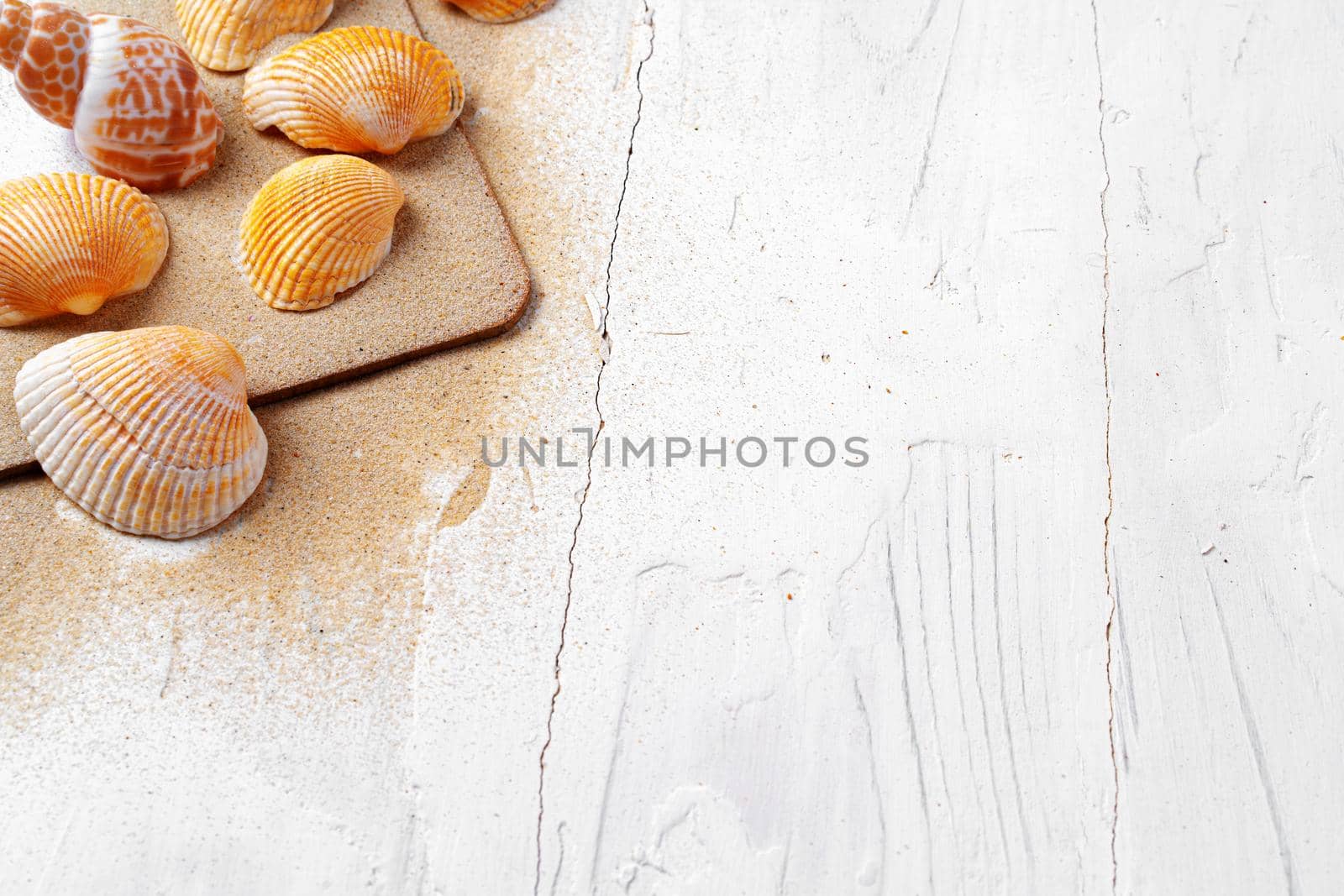 Clipboard with sea shells on white wooden table close up, copy space.