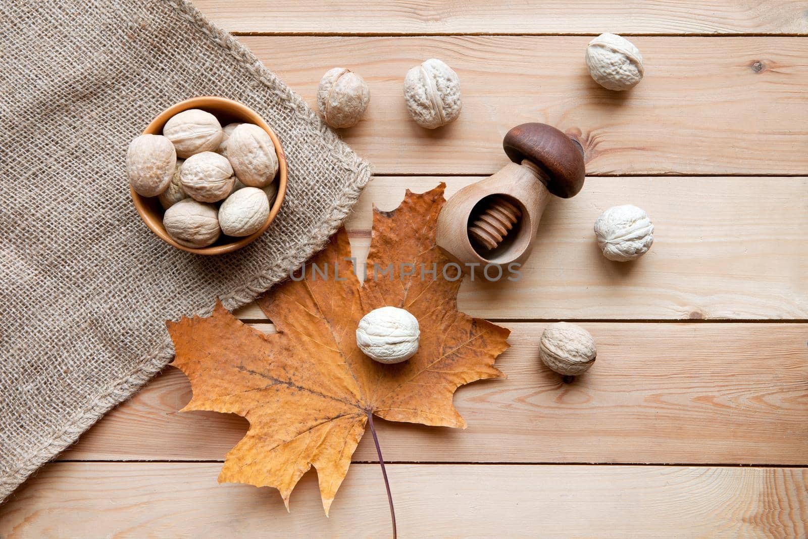 Tasty wallnuts on a wooden table and nutcracer. autum maple leaf and sack. harvest concept