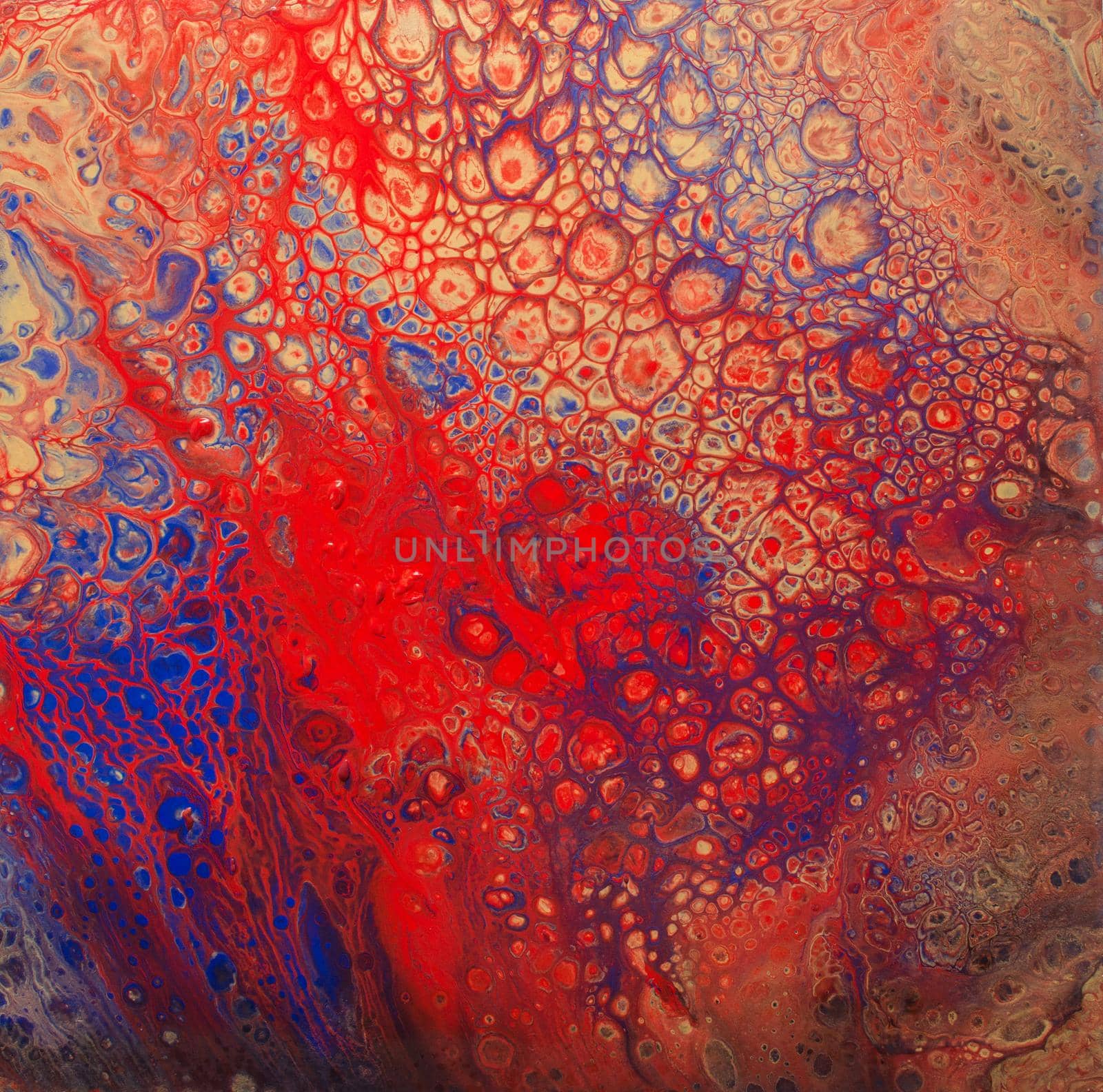 macro close up of different color oil paint. colorful acrylic. modern art concept - Image