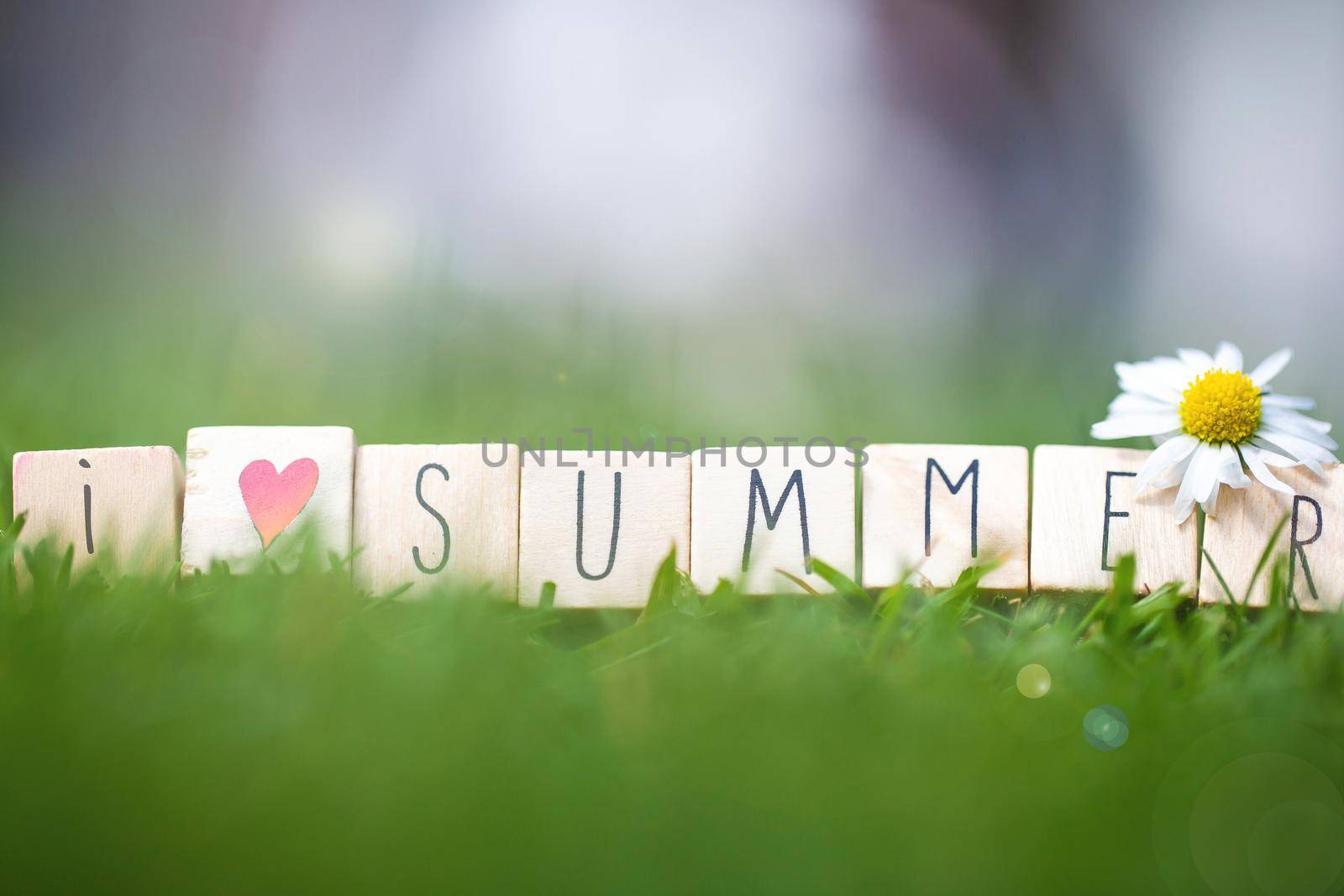 wooden cubes with the words I Love summer in the bright spring green grass with a white Daisy and sunlight, summer background close-up
