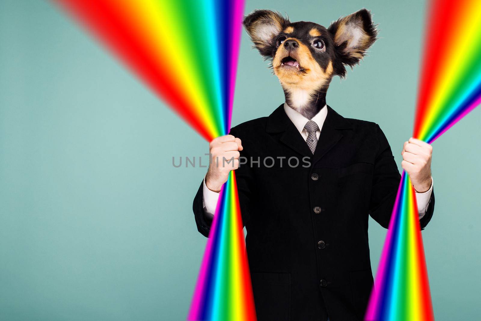 Psychedelic collage combining a man in a suit and a dog's head. The character holds a rainbow in his hands and looks up. The mouth is open in surprise. - image