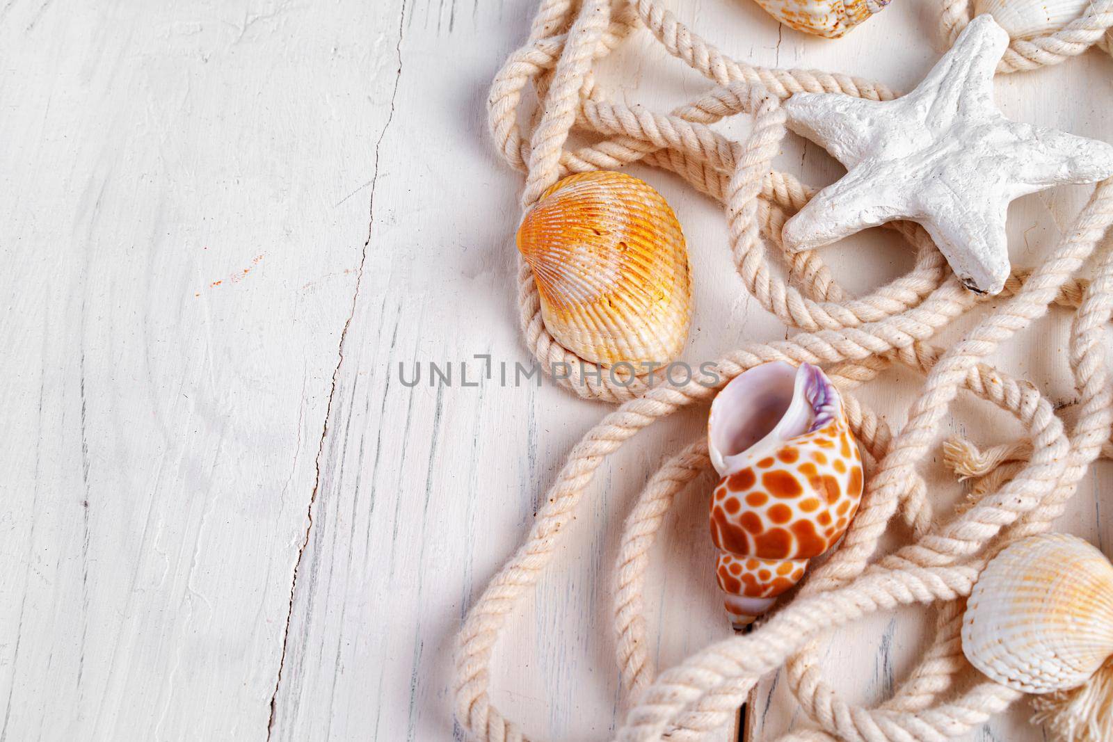 Sea shells with rope on white wooden background, copy space. Summer vacation concept