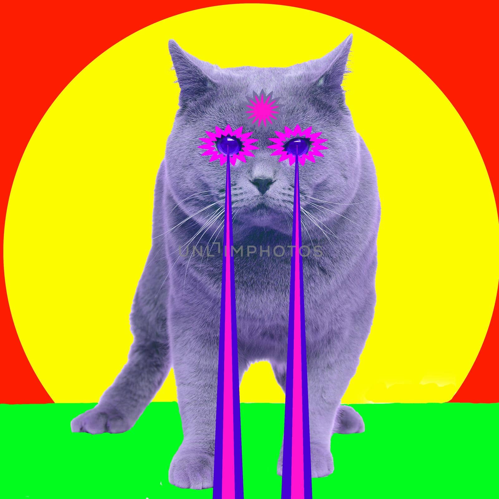 Cat with lasers from eyes. Minimal collage fashion concept - image