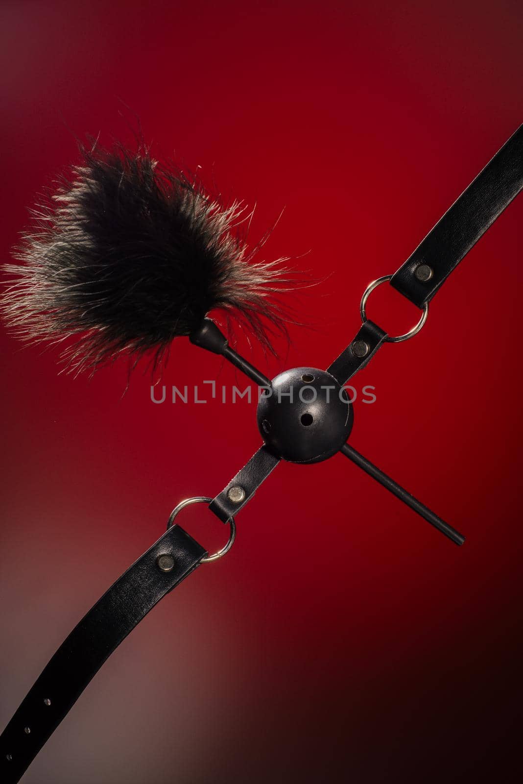 Feathered and ball gag fetish equipment isolated on red background - Image