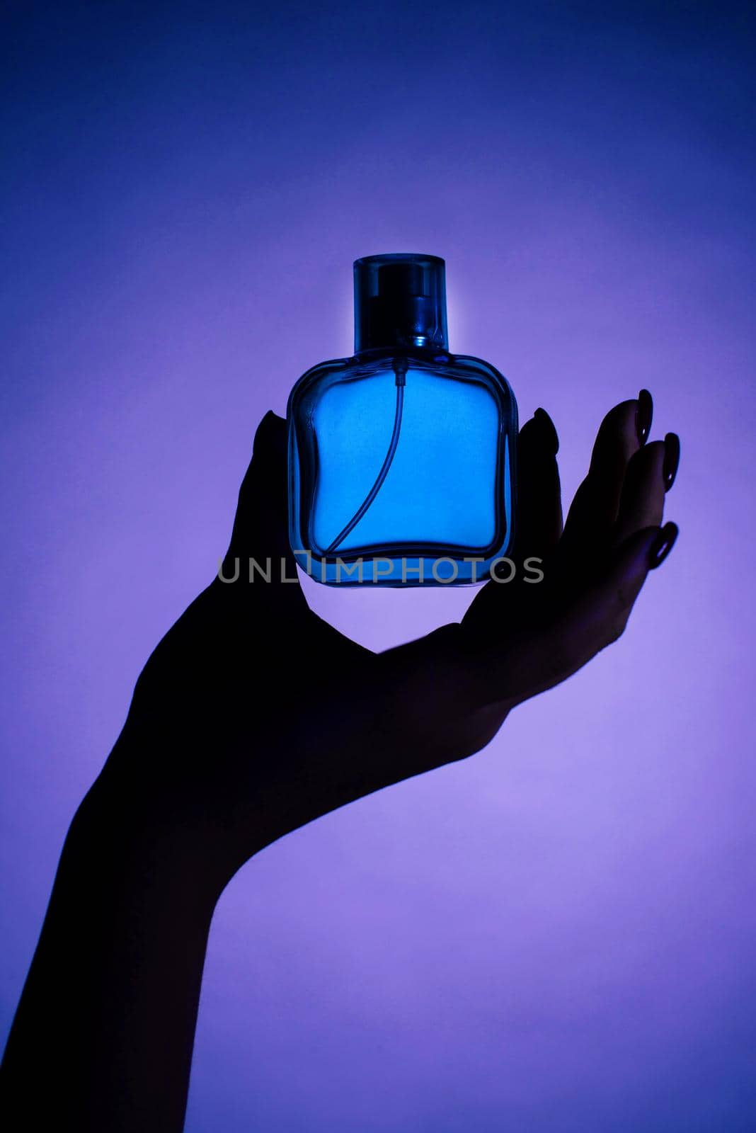 detail close-up silhouette in shadow of a woman hands holding blue perfume in studio on background by zartarn